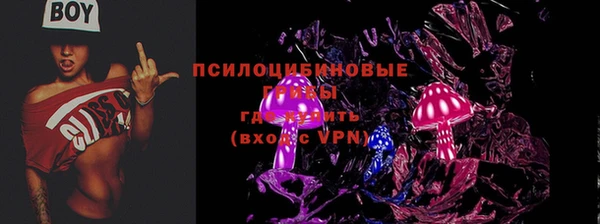 а пвп мука Новозыбков