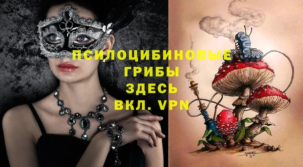 MDMA Новодвинск