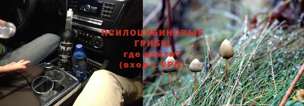 а пвп мука Новозыбков