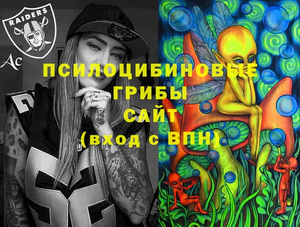 MDMA Новодвинск