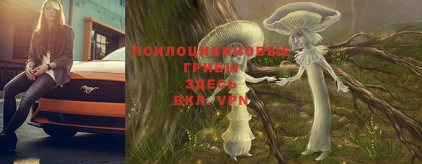 MDMA Новодвинск